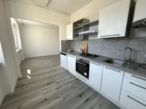 Prodej bytu 2+1, Litvínov - Horní Litvínov, Vinohradská, 55 m2