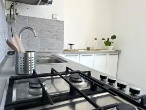 Prodej bytu 2+1, Litvínov - Horní Litvínov, Vinohradská, 55 m2