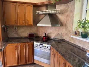 Prodej vícegeneračního domu, Olšany, 392 m2