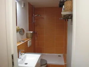 Pronájem bytu 1+kk, Plzeň, Čelakovského, 27 m2