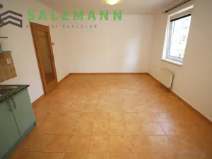 Prodej bytu 1+kk, Plzeň, Na Jíkalce, 40 m2