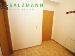Prodej bytu 1+kk, Plzeň, Na Jíkalce, 40 m2