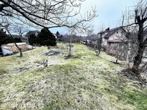 Dražba vícegeneračního domu, Krouna, 259 m2