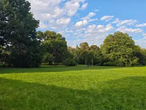 Pronájem bytu 2+1, Brno, Antonínská, 64 m2