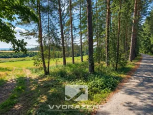 Prodej lesa, Chrášťany, 1726 m2