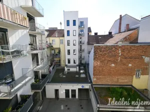 Pronájem bytu 1+kk, Brno - Trnitá, Křenová, 40 m2