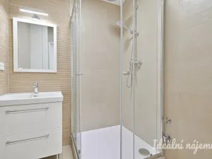 Pronájem bytu 2+1, Brno - Štýřice, Bakalovo nábřeží, 60 m2
