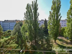 Pronájem bytu 2+1, Brno - Štýřice, Bakalovo nábřeží, 60 m2