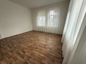 Pronájem bytu 3+1, Želešice, 158 m2