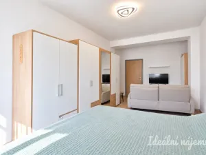 Pronájem bytu 2+1, Brno - Štýřice, Renneská třída, 54 m2