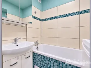 Pronájem bytu 2+1, Brno - Štýřice, Renneská třída, 54 m2