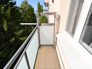 Pronájem bytu 2+1, Brno - Štýřice, Renneská třída, 54 m2