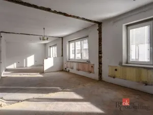 Prodej rodinného domu, Vacenovice, Jezérka, 160 m2