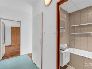 Prodej bytu 3+1, Hradec Králové - Moravské Předměstí, Formánkova, 80 m2
