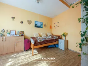 Prodej rodinného domu, Dolní Kounice, Ivančická, 55 m2