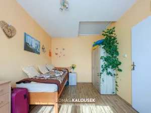 Prodej rodinného domu, Dolní Kounice, Ivančická, 55 m2