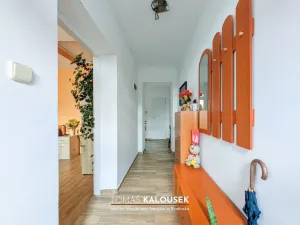 Prodej rodinného domu, Dolní Kounice, Ivančická, 55 m2