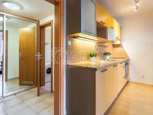 Pronájem bytu 1+kk, Dolní Břežany, Ke Kapličce, 30 m2