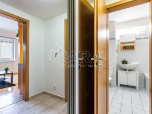 Pronájem bytu 1+kk, Dolní Břežany, Ke Kapličce, 30 m2