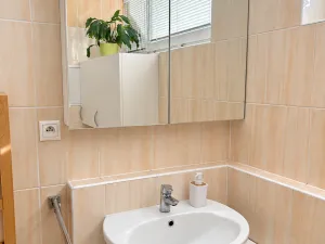 Pronájem bytu 2+kk, Praha, Václava Trojana, 54 m2