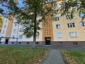 Pronájem bytu 2+1, Ostrov, Kollárova, 55 m2