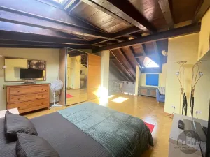 Pronájem bytu 2+kk, Praha - Vinohrady, Mánesova, 86 m2