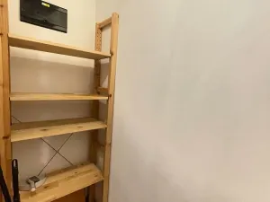 Pronájem bytu 2+kk, Praha - Vinohrady, Mánesova, 86 m2
