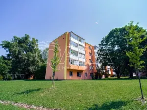 Prodej bytu 2+1, Ostrava - Zábřeh, Volgogradská, 53 m2