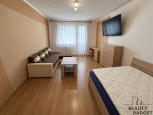 Pronájem bytu 1+1, Hodonín, Brandlova, 39 m2