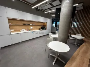 Pronájem kanceláře, Ostrava - Moravská Ostrava, náměstí Biskupa Bruna, 1000 m2