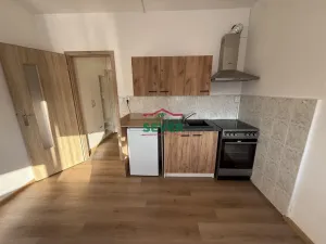 Prodej bytu 1+kk, Teplice - Řetenice, Bratislavská, 21 m2