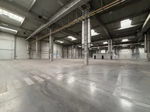 Pronájem výrobních prostor, Ostrava - Kunčičky, Lihovarská, 5700 m2