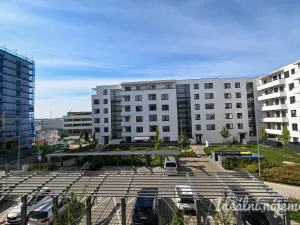 Pronájem bytu 1+kk, Brno - Horní Heršpice, Jižní, 42 m2