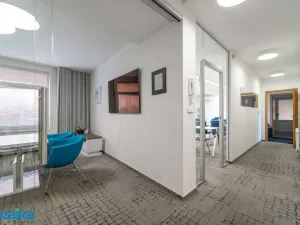 Prodej rodinného domu, Brno - Dolní Heršpice, Jižní náměstí, 340 m2