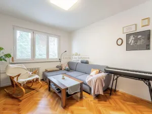 Prodej bytu 2+1, Praha - Žižkov, Pod lipami, 48 m2