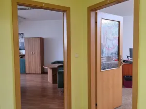 Pronájem kanceláře, Plzeň, Na Roudné, 56 m2