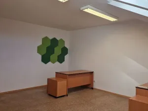 Pronájem kanceláře, Plzeň, Na Roudné, 56 m2