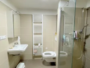 Pronájem bytu 2+kk, Olomouc, Věry Pánkové, 57 m2