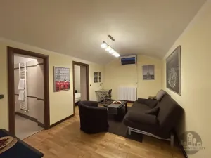 Pronájem bytu 2+kk, Praha - Vinohrady, Řipská, 60 m2