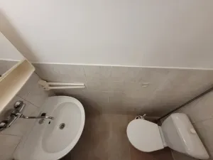 Pronájem bytu 1+1, Brno, Palackého třída, 43 m2