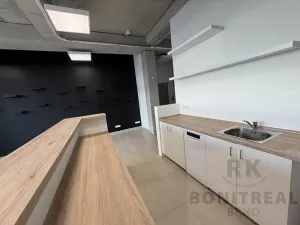 Pronájem skladu, Brno, Vinohradská, 457 m2