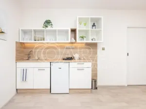 Pronájem bytu 1+kk, Starý Jičín - Vlčnov, 35 m2