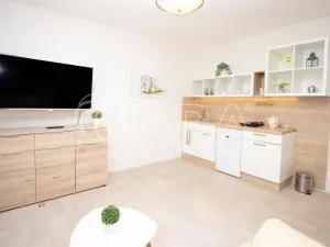 Pronájem bytu 1+kk, Starý Jičín - Vlčnov, 35 m2
