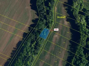 Dražba lesa, Babice u Rosic, 359 m2