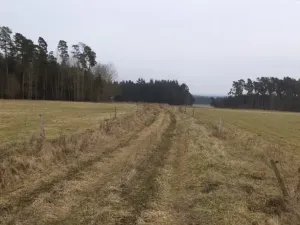 Dražba pozemku, Lom u Tachova, 3739 m2