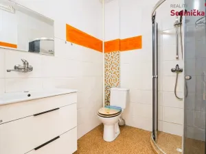 Prodej rodinného domu, Únanov, 300 m2