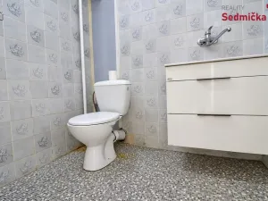 Prodej rodinného domu, Únanov, 300 m2