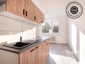 Prodej bytu 2+1, Ústí nad Labem - Střekov, Nová, 62 m2