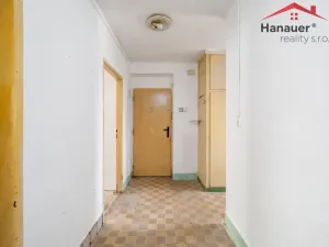 Prodej bytu 2+1, Ústí nad Labem - Střekov, Myslbekova, 66 m2