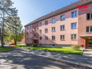 Pronájem bytu 2+1, Zákupy, Družstevní, 53 m2